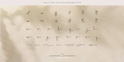 Baltijens Font Poster 13