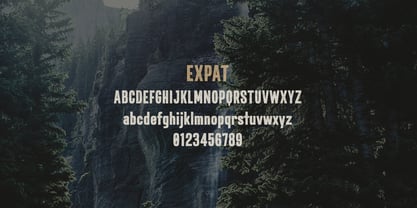 Expat Font Poster 5