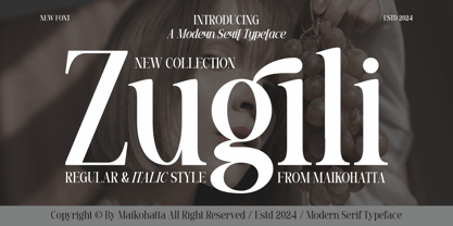 Zugili Font Poster 1