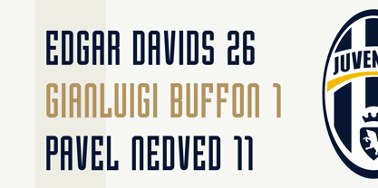 Juvenilia Font Poster 8