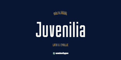 Juvenilia Font Poster 10