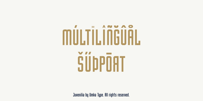 Juvenilia Font Poster 7