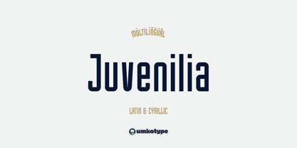 Juvenilia Font Poster 1