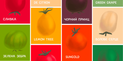 Pomidorko_2.0 Font Poster 4