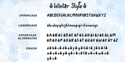 Winter Style Font Poster 7