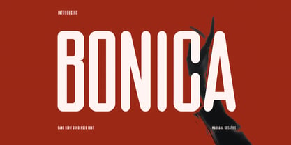 MC Bonica Font Poster 1