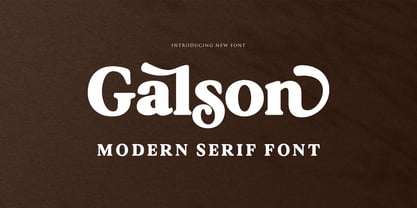 Galson Serif Police Poster 1