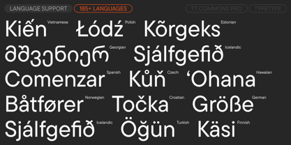 TT Commons Pro Georgian Font Poster 7