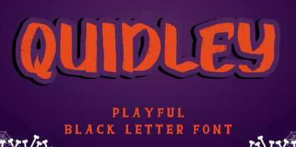 Quidley Font Poster 1