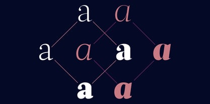 Acta Variable Font Poster 3