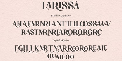 Larissa Font Poster 8