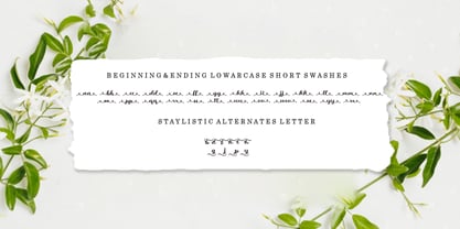 Oh Amazing Script Font Poster 6