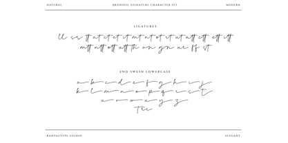 Brandise Signature Font Poster 15