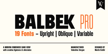 Balbek Pro Police Poster 1