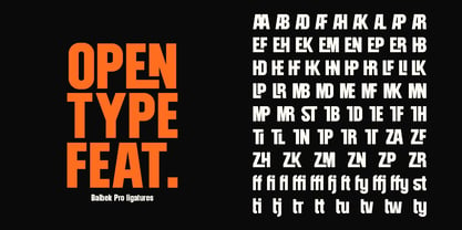 Balbek Pro Font Poster 14