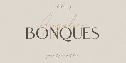 Angelic Bonques Font Poster 1