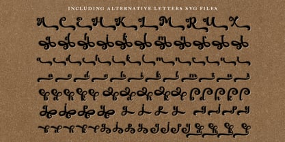 The Amgesta Font Poster 12