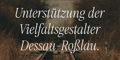 HV Fitzgerald in Berlin Font Poster 10