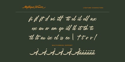 Mystique Venice Font Poster 11