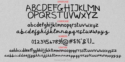 Kooja Luigh Font Poster 6