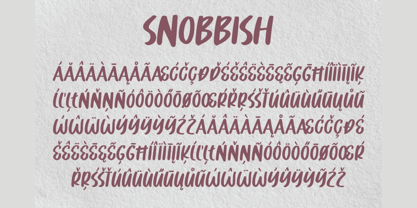 Snobbish Font Poster 10