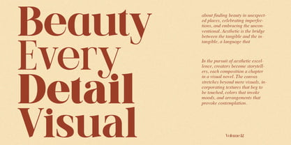 Early Lunar Elegant Serif Fuente Póster 7