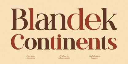 Early Lunar Elegant Serif Fuente Póster 9