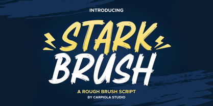 Stark Brush Font Poster 1