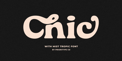 Mist Tropic Font Poster 4