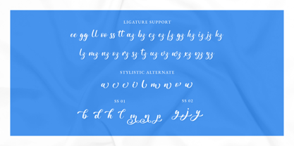 Rougilio Font Poster 11