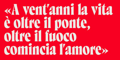 Marcovaldo Font Poster 14