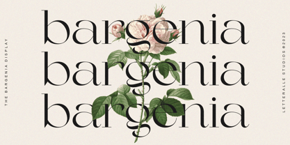 Bargenia Font Poster 2