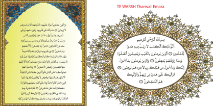 TE Warsh Tharwat Emara Font Poster 4