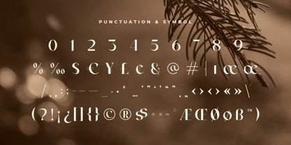 Maisela Font Poster 10