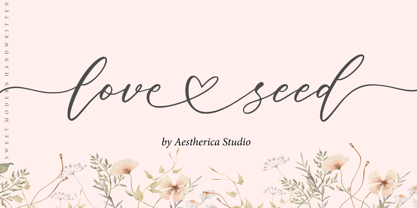 Love seed Font Poster 1