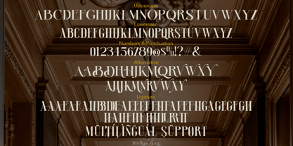 Bhifhas Font Poster 10