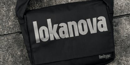 Lokanova Fuente Póster 14