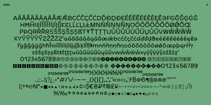 Sizek Variable Font Poster 5