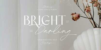 Bright Darling Font Poster 1