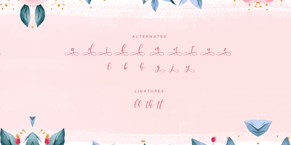 Anandyas Font Poster 7