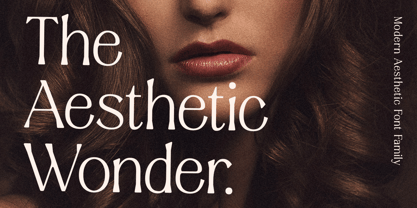 Aesthetic Wonder Font Poster 1