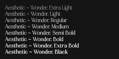 Aesthetic Wonder Font Poster 6