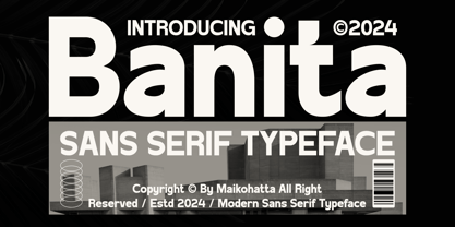 Banita Font Poster 1