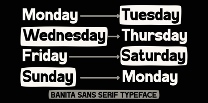 Banita Font Poster 2