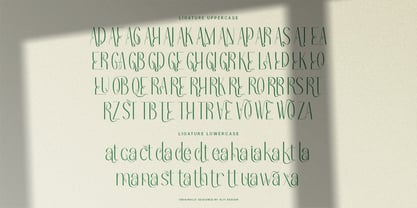 Redivola Font Poster 13