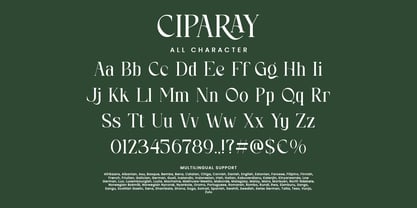 Ciparay Font Poster 8