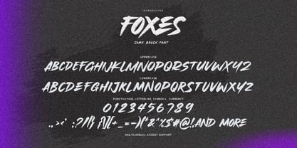 Foxes Fuente Póster 6
