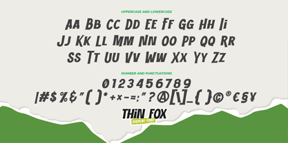 Thin Fox Font Poster 6