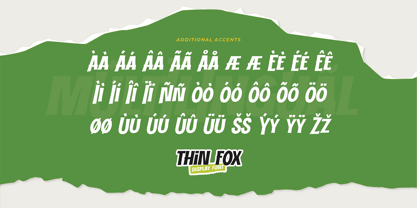Thin Fox Font Poster 7