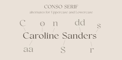Conso Serif Font Poster 8